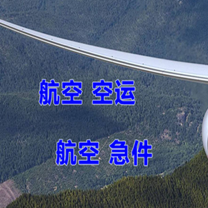 阜阳航空快递快递-选东方航空和上海航空