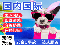 阜阳航空快递国际宠物托运 【国